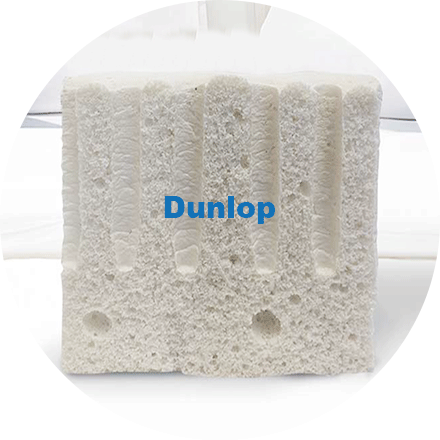 Dunlop_Process
